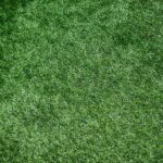 Nialsea Artificial Grass experts