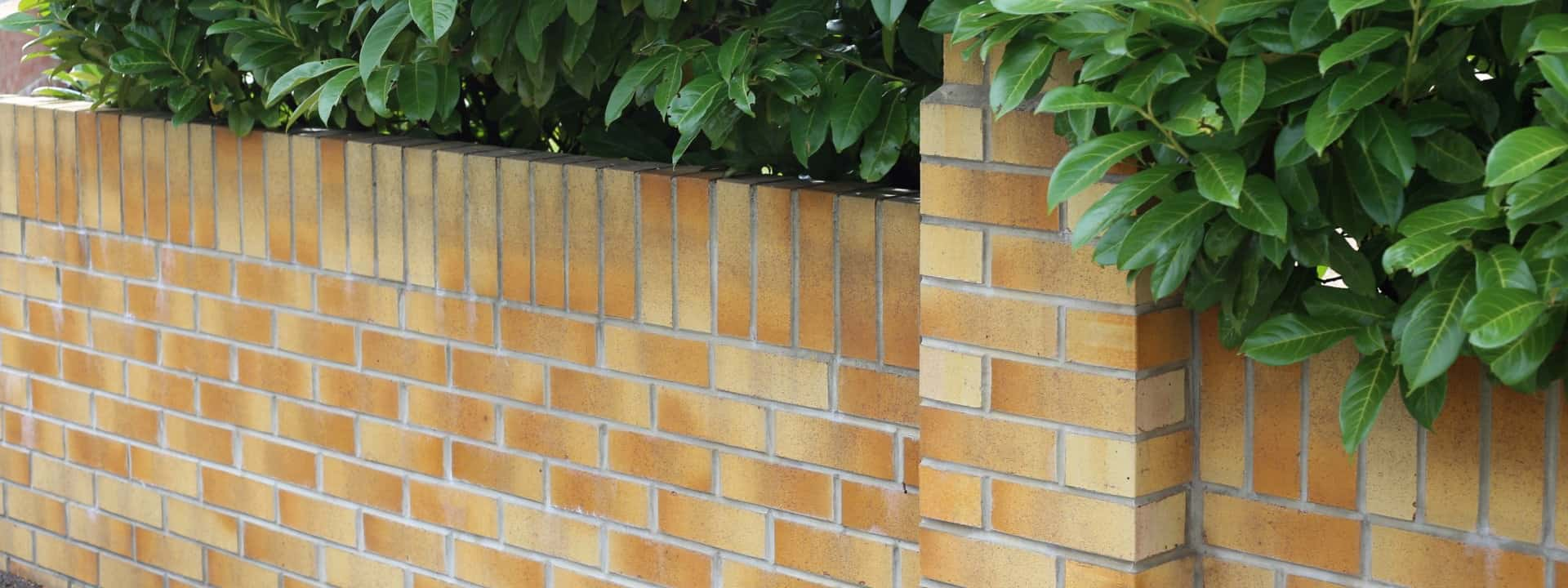 Brick best sale wall builders