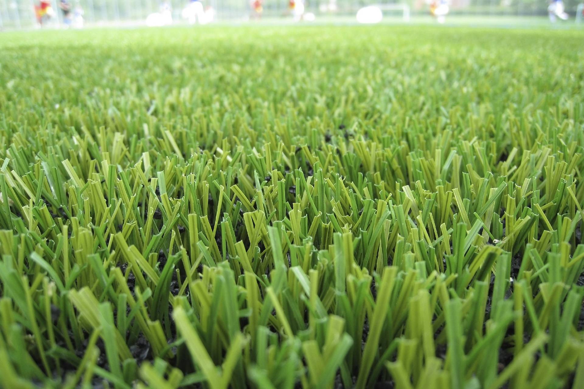 Experienced Artificial Grass contractors in Clevedon