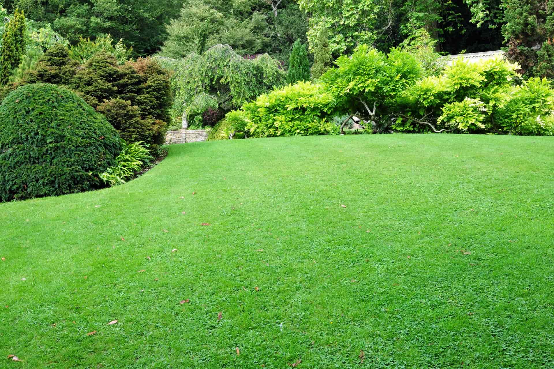 Turfing services in Shepton Mallet