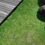 Quality Turfing contractors near Bridgwater