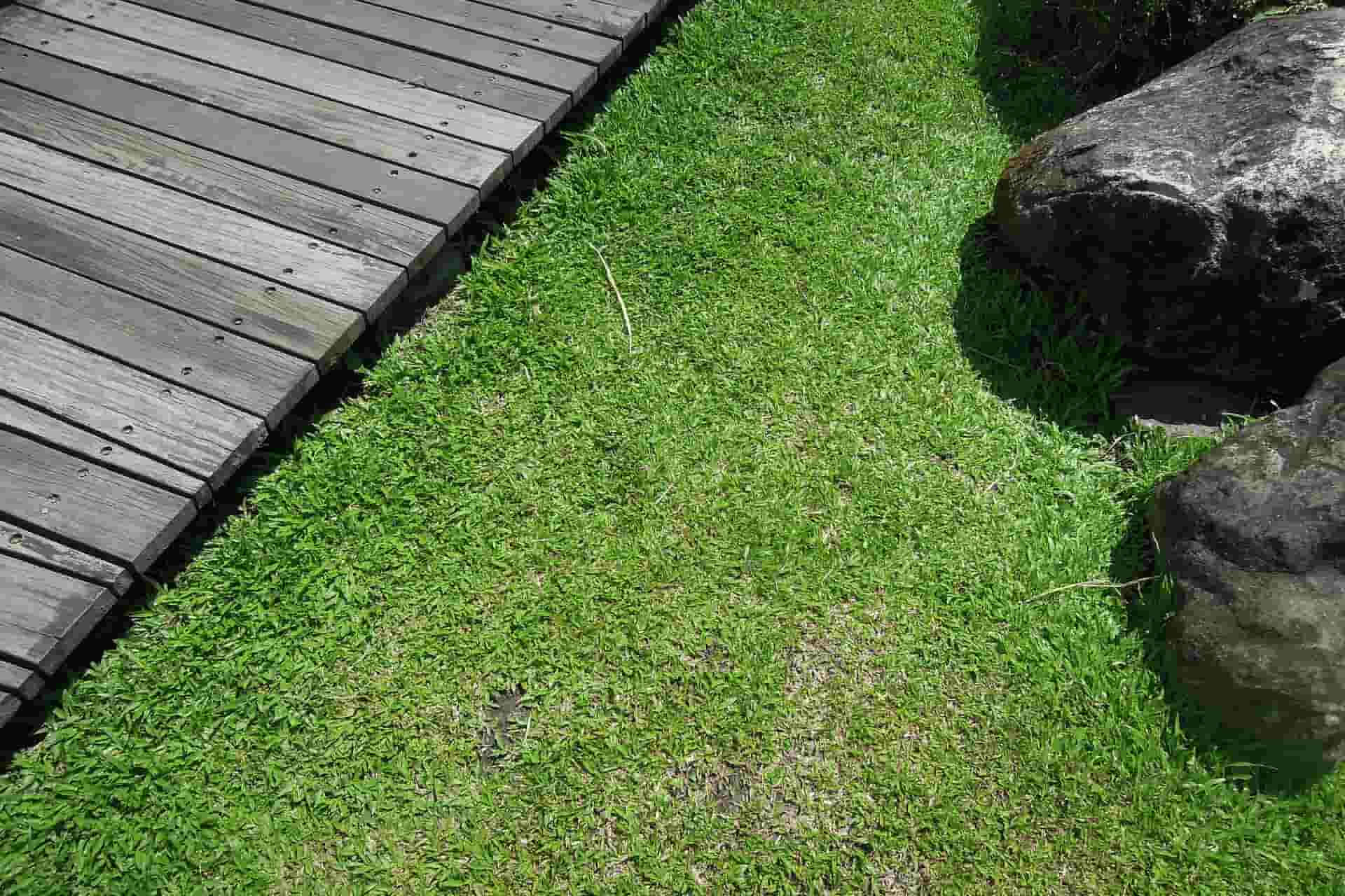 Quality Turfing contractors near Bridgwater